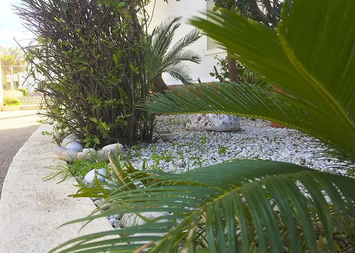 アパート Anacasa Oasis Ii Marineta Ap2116 デニア