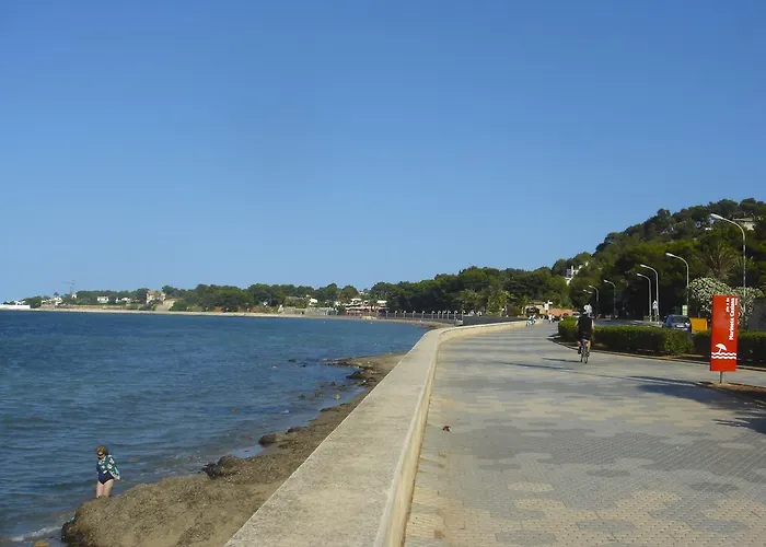 Anacasa Oasis Ii Marineta Ap2116 * デニア